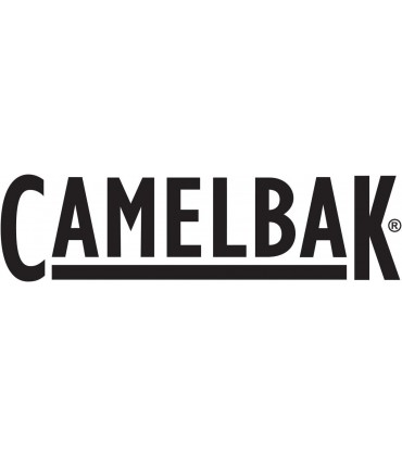 CAMELBAK Products LLC Unisex – Erwachsene Podium Chill Wasserflasche Black 620ml - B07HGR3YZ7