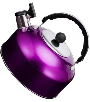 Deluxe Leichte Edelstahl 3 Liter Whistling Teekessel Camping Küche Warmwasser Topf mit Griff Camping Wasserkocher 914 Color : Purple - B09X2ZY6QN
